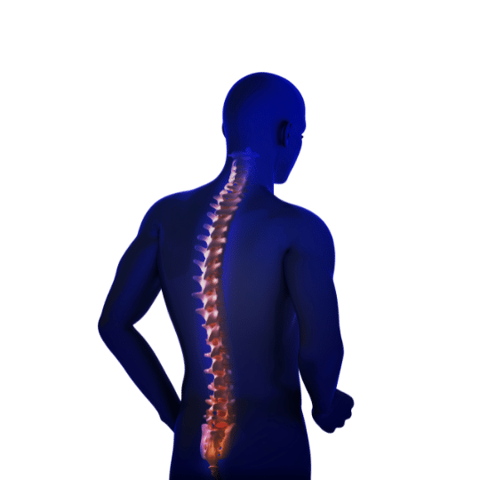 Euro Health Spine Icon